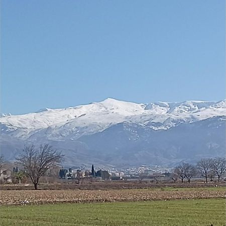 グラナダ Casa Encarnacionヴィラ エクステリア 写真
